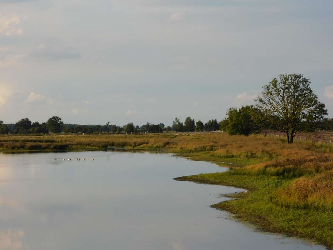 foto bij Wat te doen in Drenthe?