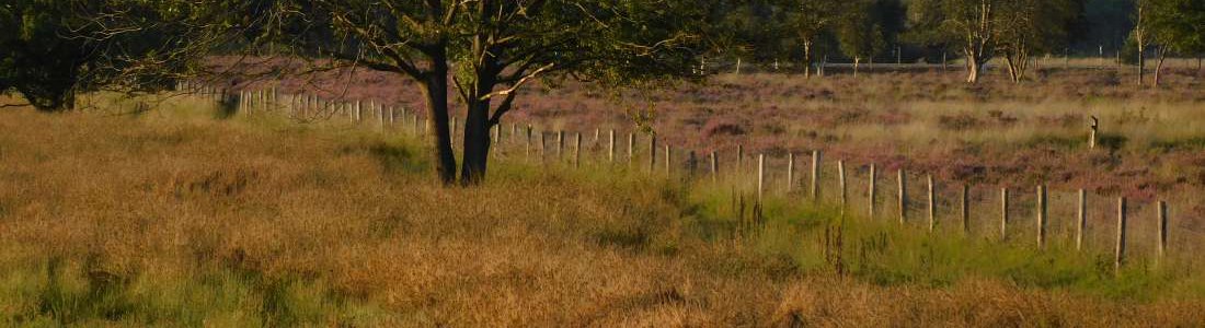 Sfeerfoto Touren E-Choppers Drenthe